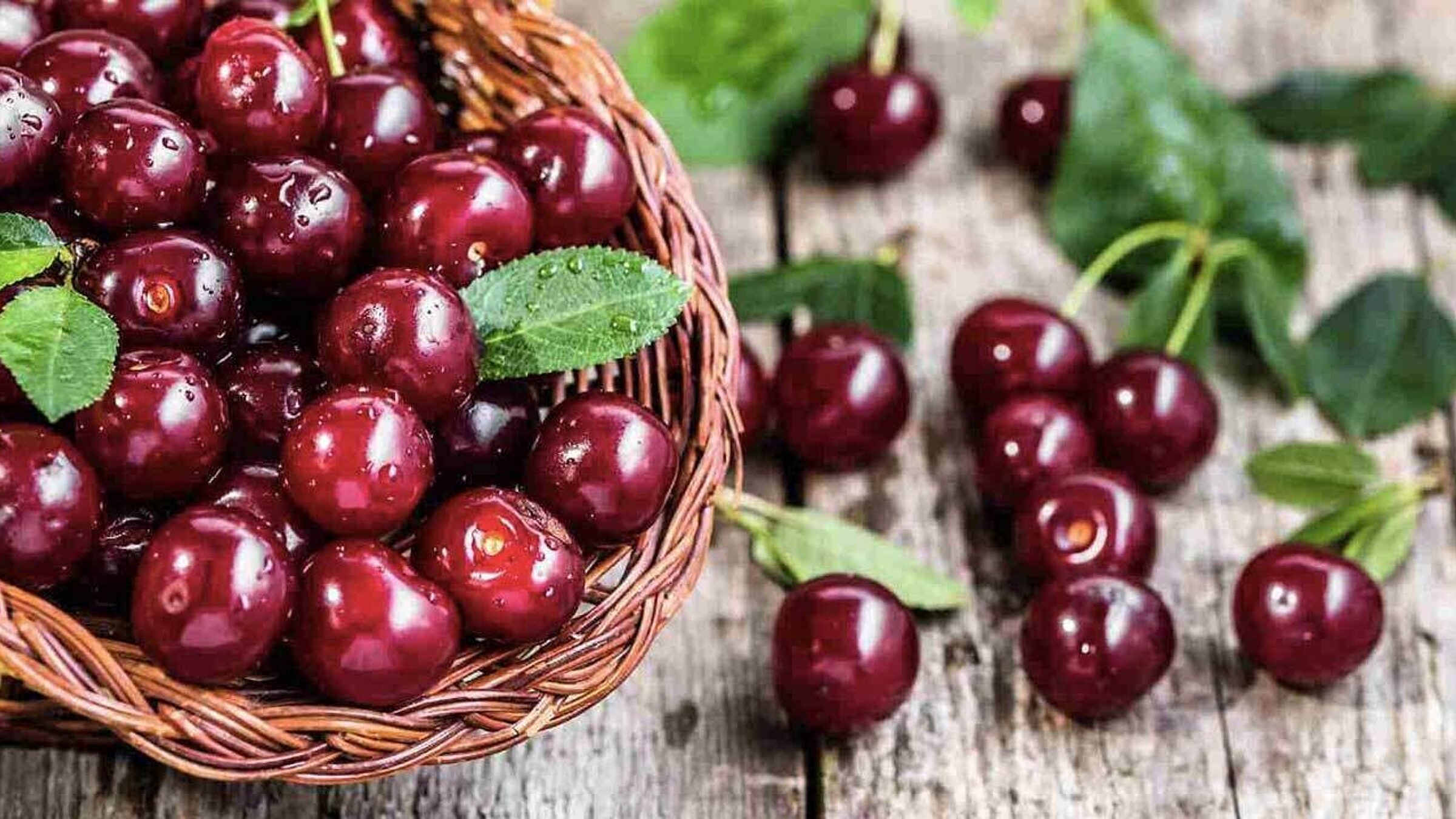 Passeggeremo all'ombra dei filari, scoprendo i segreti di questo frutto