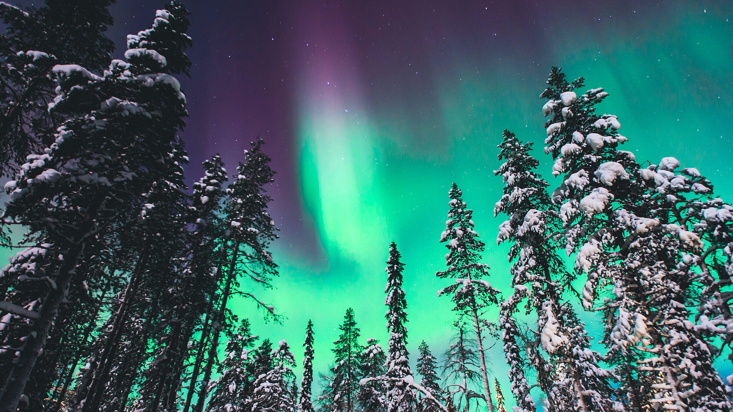 La danza del cielo artico: l'Aurora Boreale