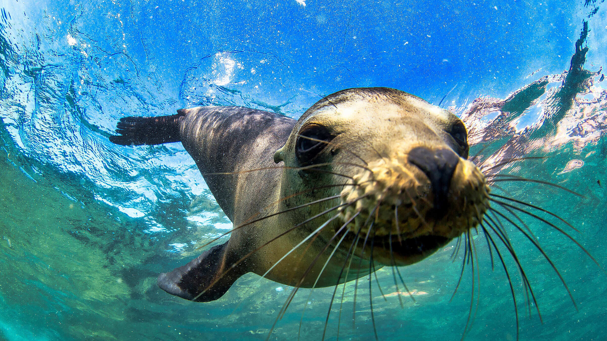 Ecuador e Galápagos: il Racconto Primordiale della Terra