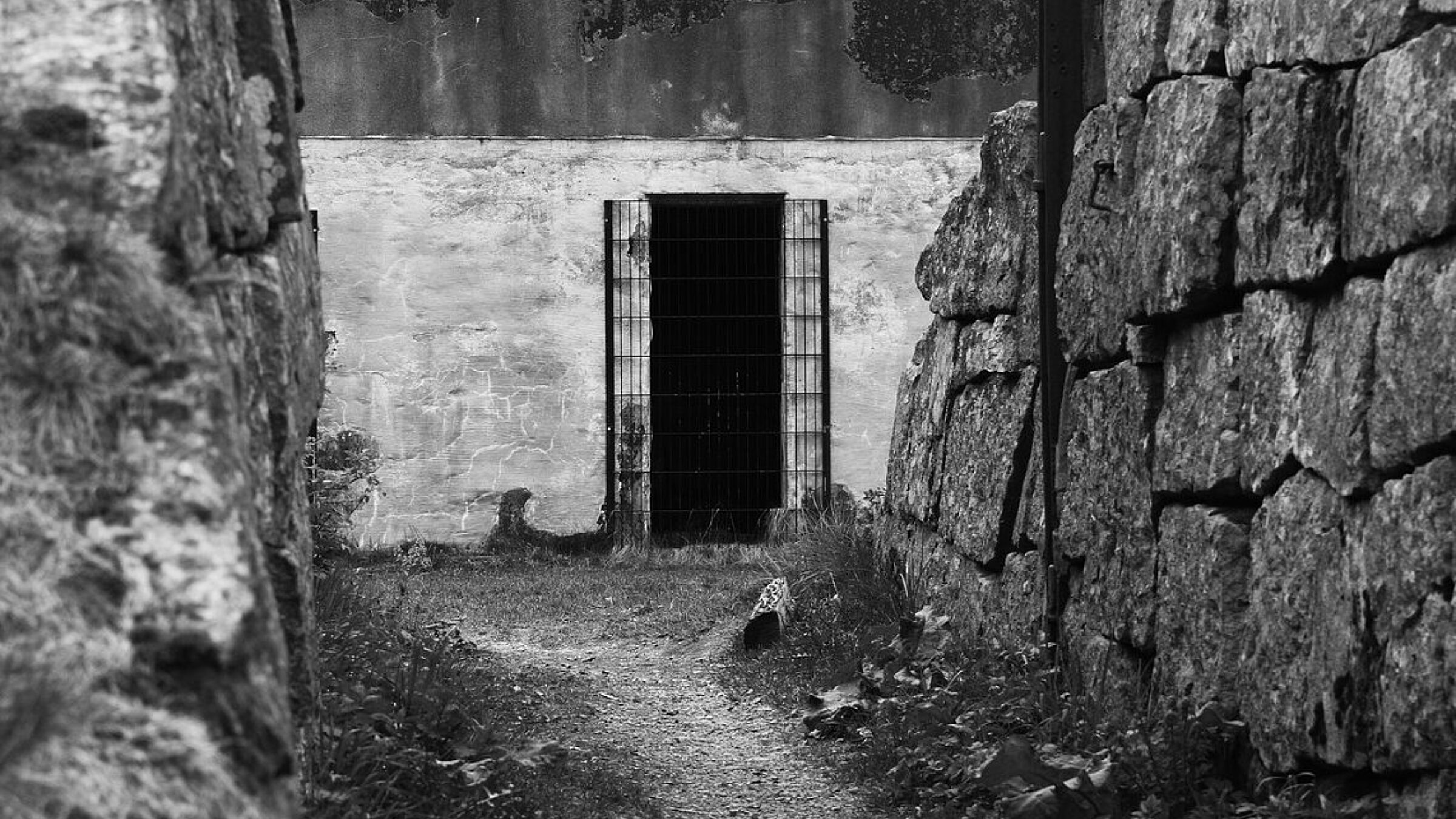 Viaggio: Mi Guidi in trincea: sui sentieri della Grande Guerra