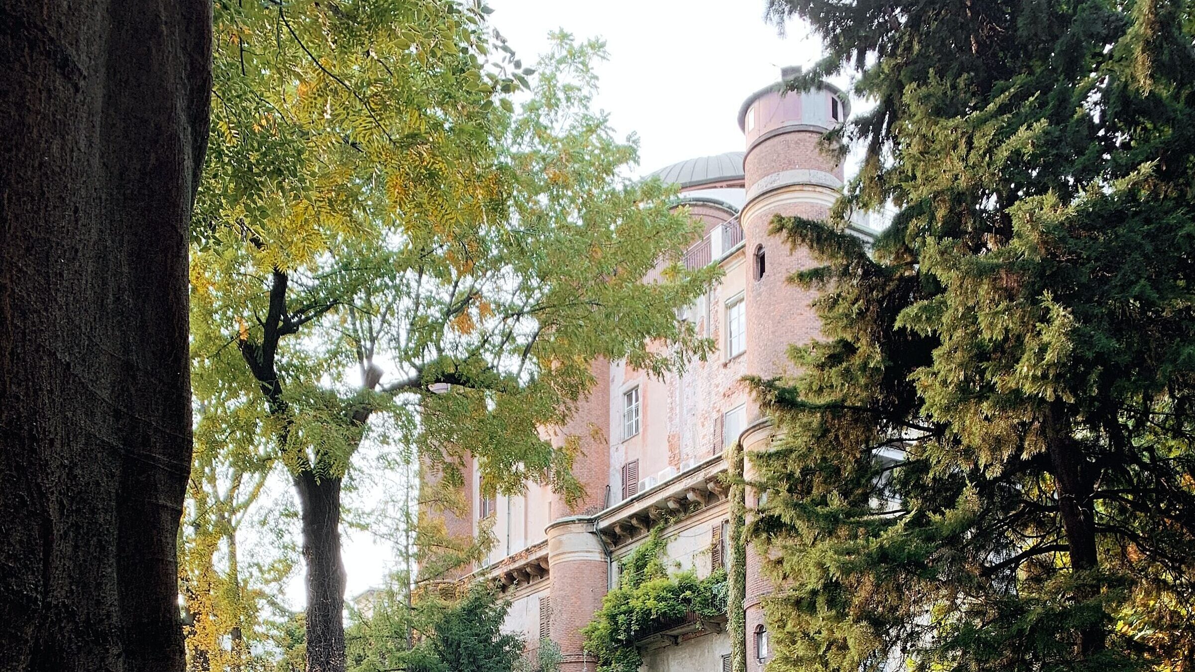 Un'oasi di verde nel centro di Milano!