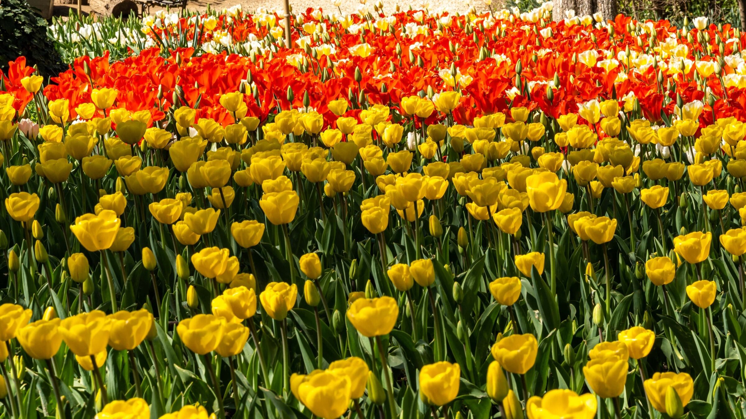 ...eccoci nella Primavera più fulgida, al Castello di Pralormo