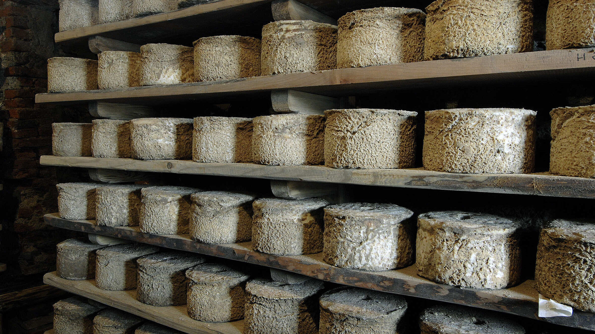 Il Grande Castelmagno